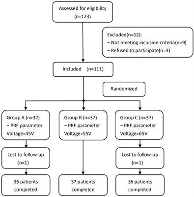 CT-Guided Pulsed Radiofrequency at Different Voltages in the Treatment of Postherpetic Neuralgia